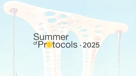 Summer Of Protocol 2025